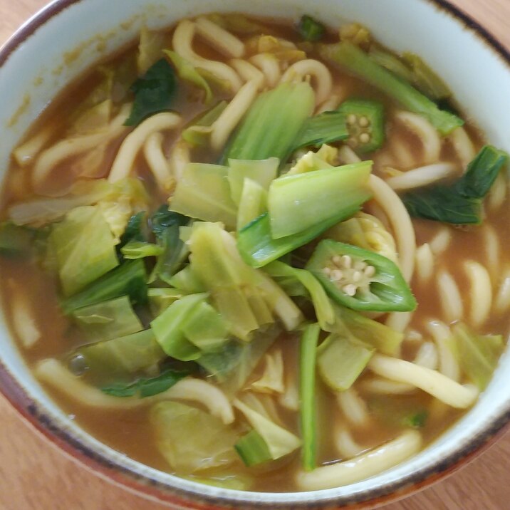 野菜カレーうどん